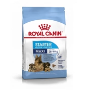 Royal Canin Maxi Starter для щенков крупных пород до 2 мес