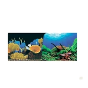 Фон аквариумный двухсторонний Морские кораллы/Подводный мир (30/60 см)