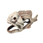 Deski грот Скелет рыбы