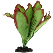 Prime растение шелковое искусственное 13 см Эхинодорус Озирис