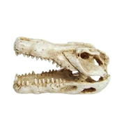 Prime грот Череп крокодила мини, 7,5*4,5*4,5 см