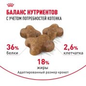 На развес Royal Canin Kitten корм для котят