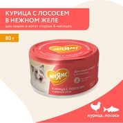 Мнямс влажный корм На каждый день для кошек и котят старше 6 месяцев Курица с лососем в нежном желе, 80 г
