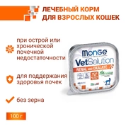 Monge VetSolution Cat Renal and Oxalate Ренал и Оксалат для кошек при ХПН и профилактике образования оксалатов, 100 г